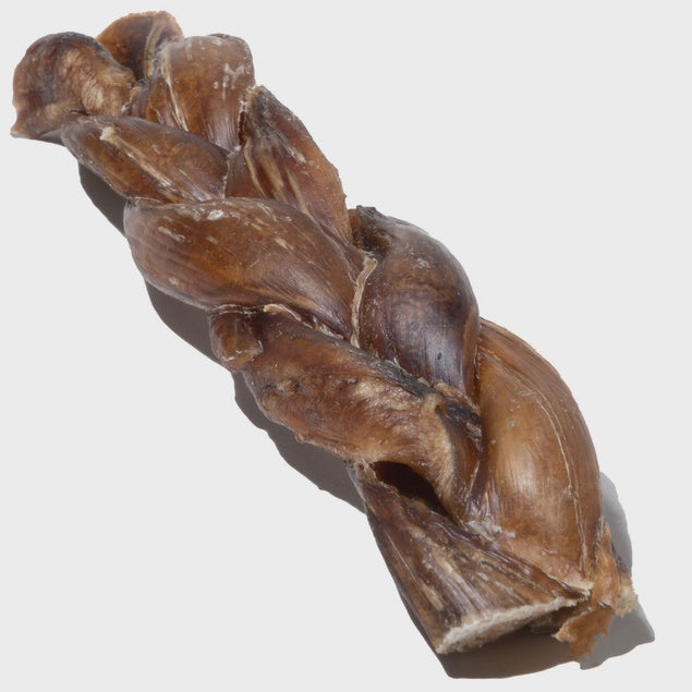 Braided Bully Stick Dog Chew