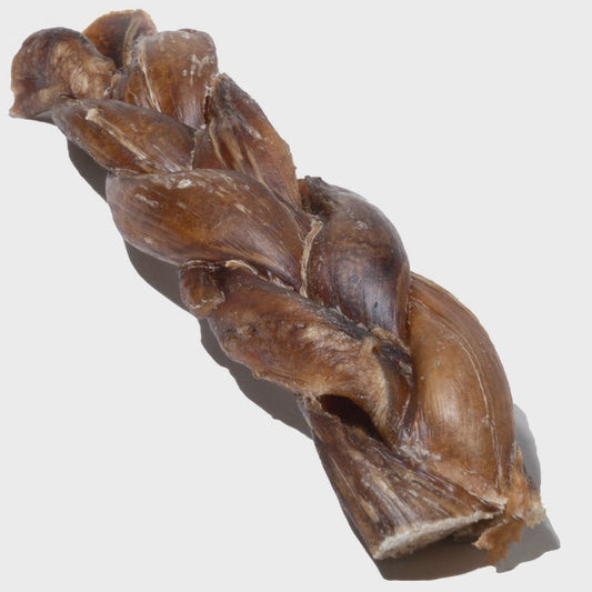 Braided Bully Stick Dog Chew