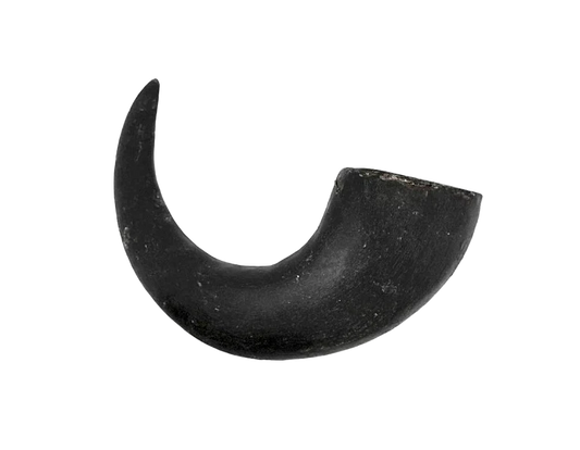 Water Buffalo Horn Dog Chew