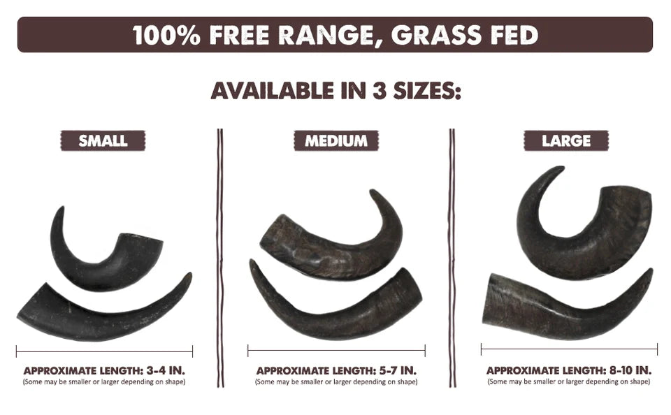 Water Buffalo Horn Dog Chew