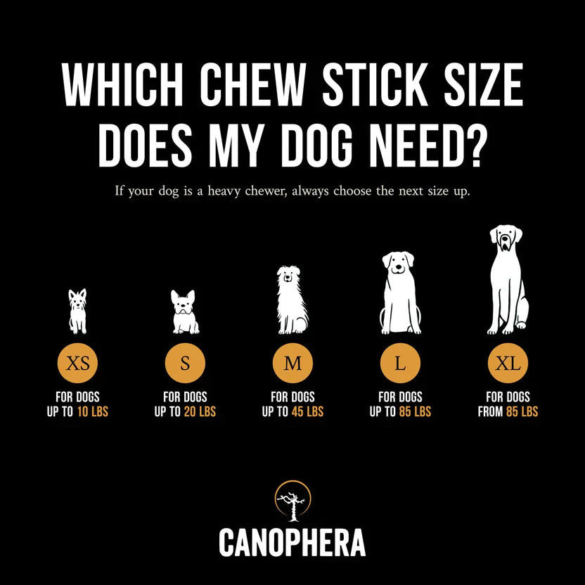 Canophera Coffee Wood Dog Chew