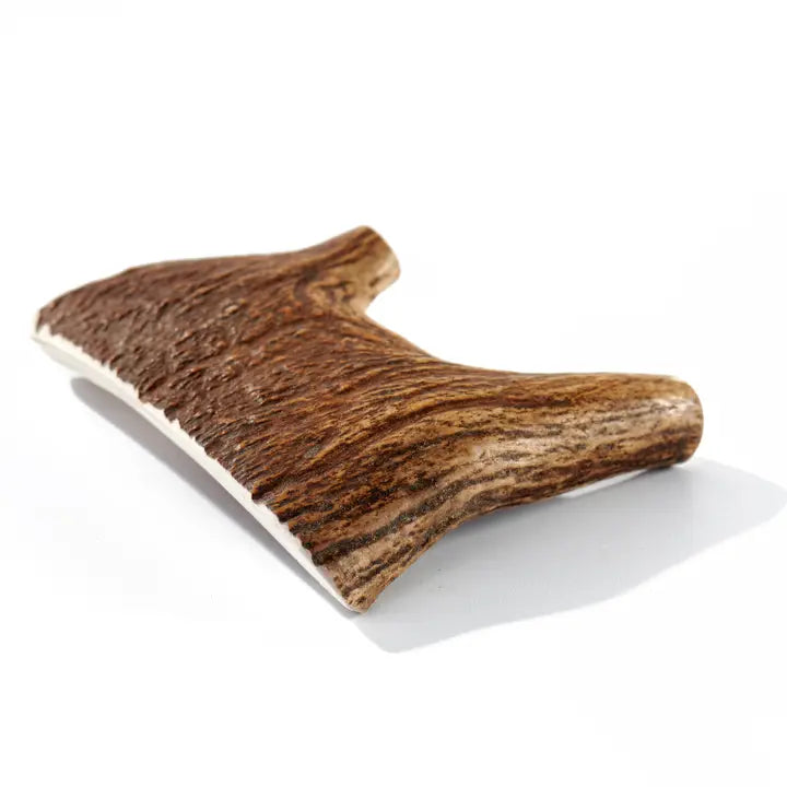 Grade-A Moose Antler Dog Chew