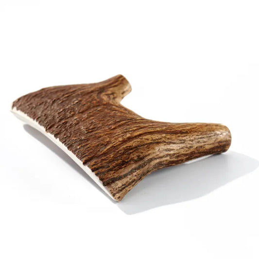 Grade-A Moose Antler Dog Chew