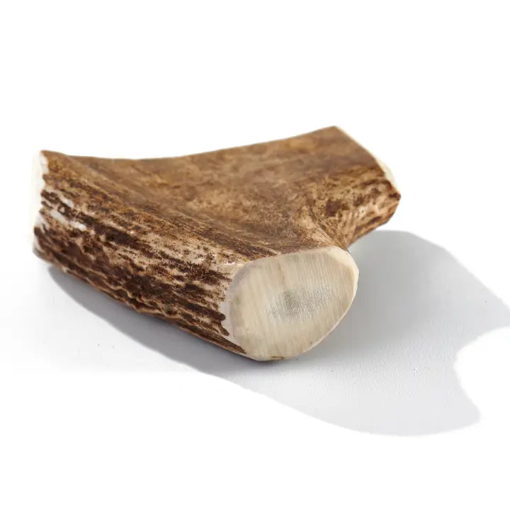 Grade-A Moose Antler Dog Chew