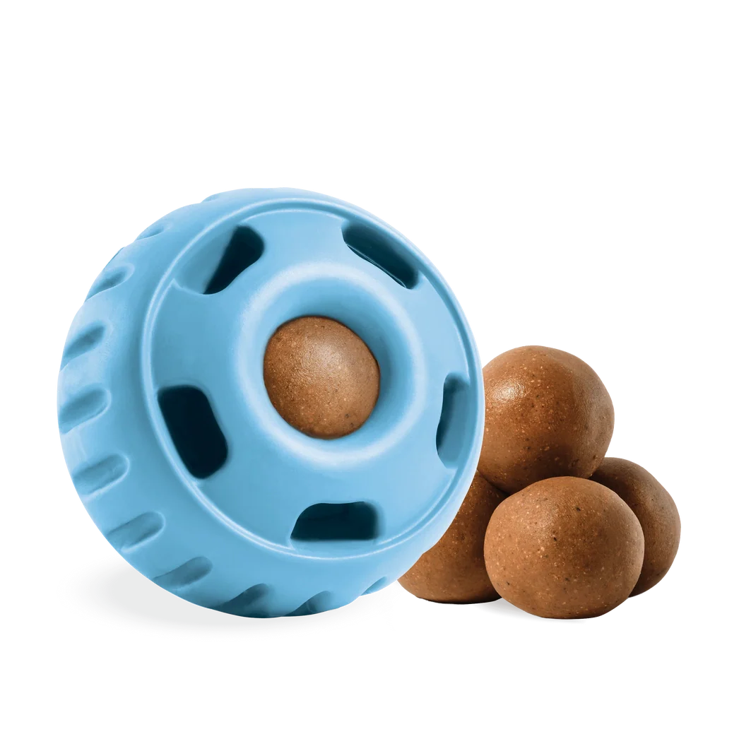 The Pupsicle Dog Toy
