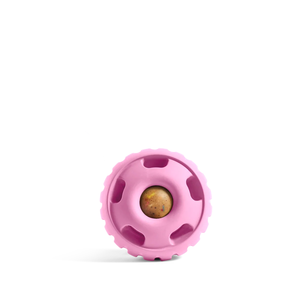 The Pupsicle Dog Toy