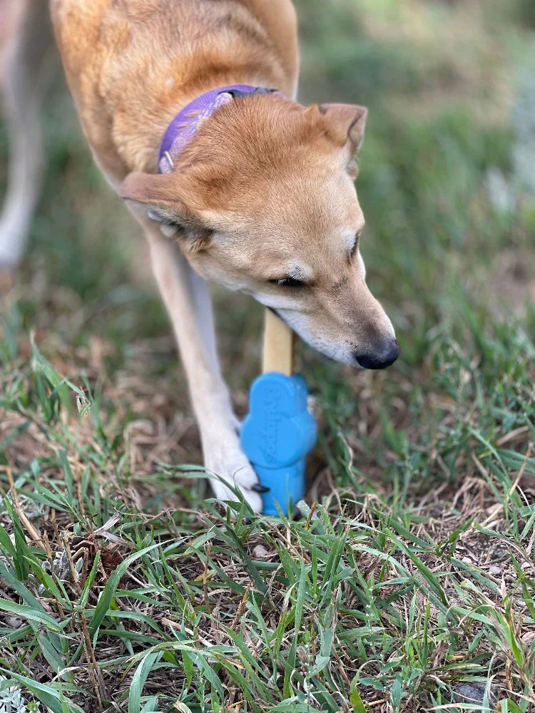 Yak Chew Holder for Dogs